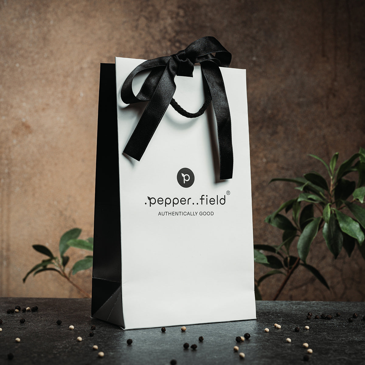 Large gift bag
